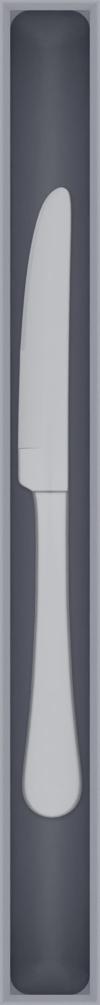 Long strip organiser – 10×1 (295 × 29.5 mm) in Fossil Grey, shown with a dessert knife. Top view.