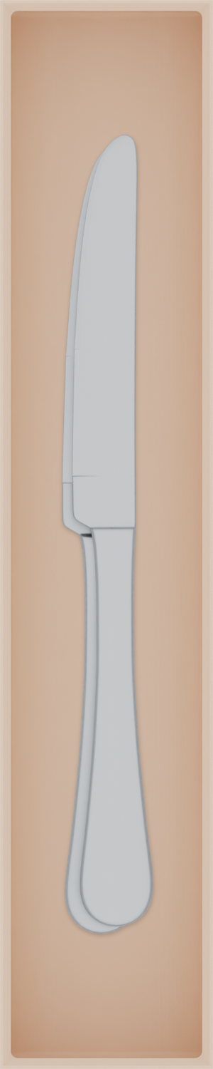 Long tray organiser – 10×2 (295 × 59 mm) in Army Beige, shown with 2 dinner knives. Top view.
