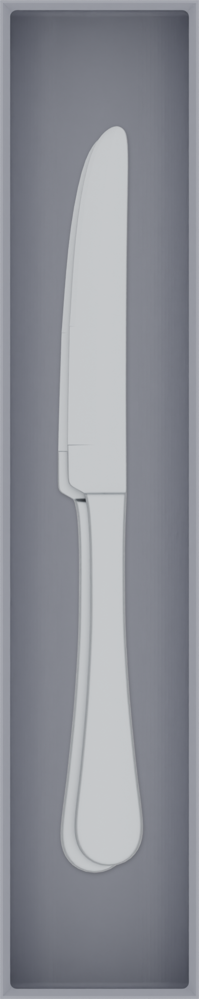 Long tray organiser – 10×2 (295 × 59 mm) in Fossil Grey, shown with 2 dinner knives. Top view.