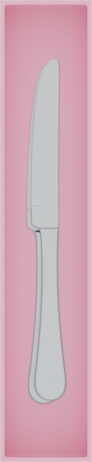 Long tray organiser – 10×2 (295 × 59 mm) in Sakura Pink, shown with 2 dinner knives. Top view.