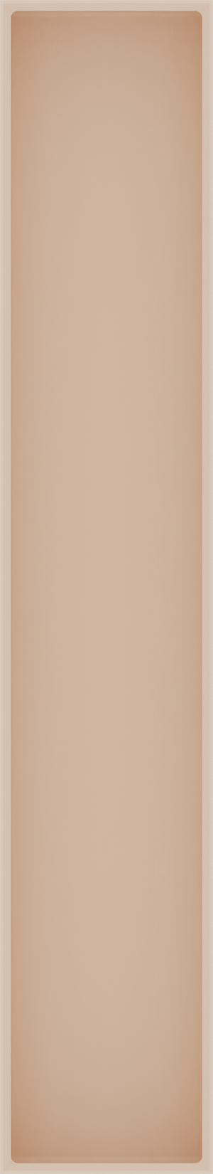 Long tray organiser – 11x2 (324.5 × 59 mm) in Army Beige