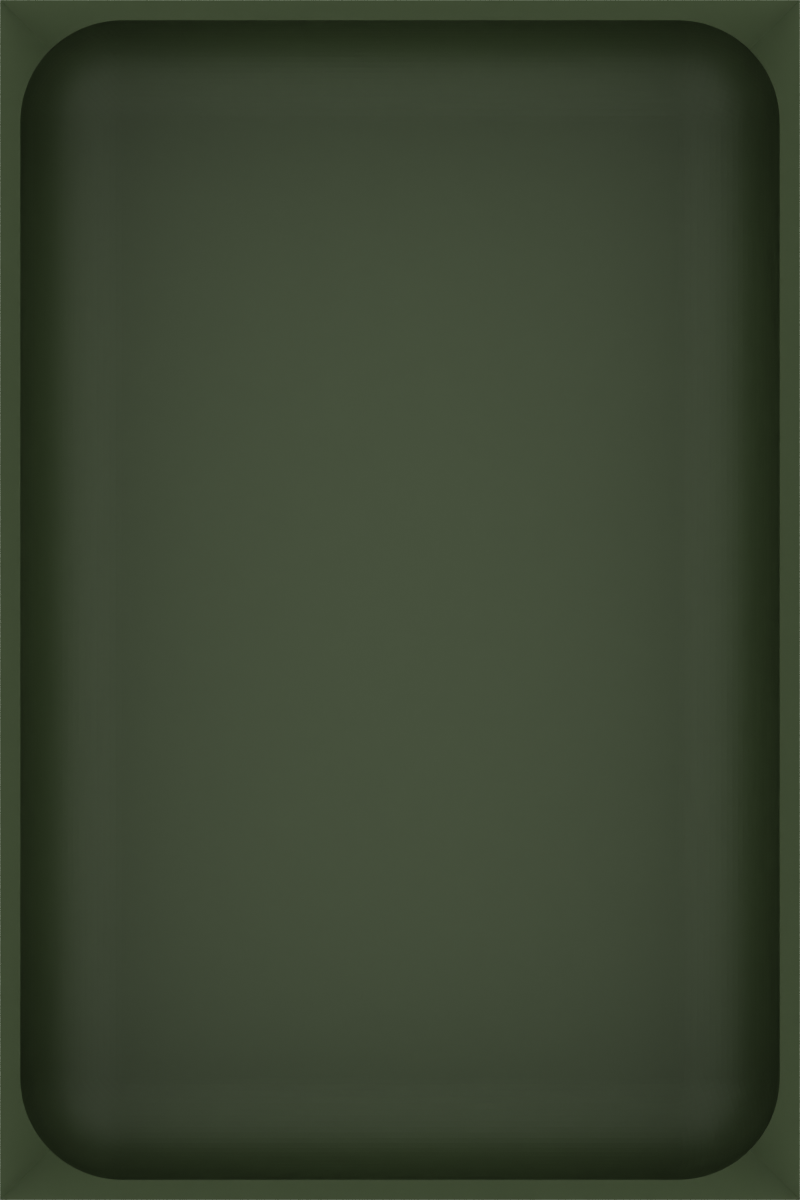Medium tray organiser – 6x4 (177 × 118 mm) in Olive Green